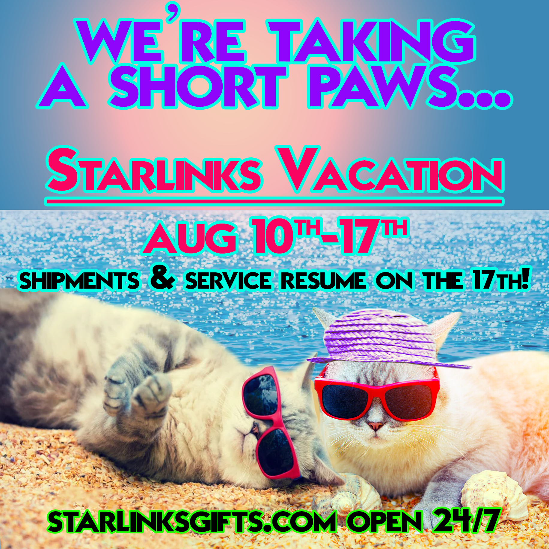 Starlinks Store Vacation!