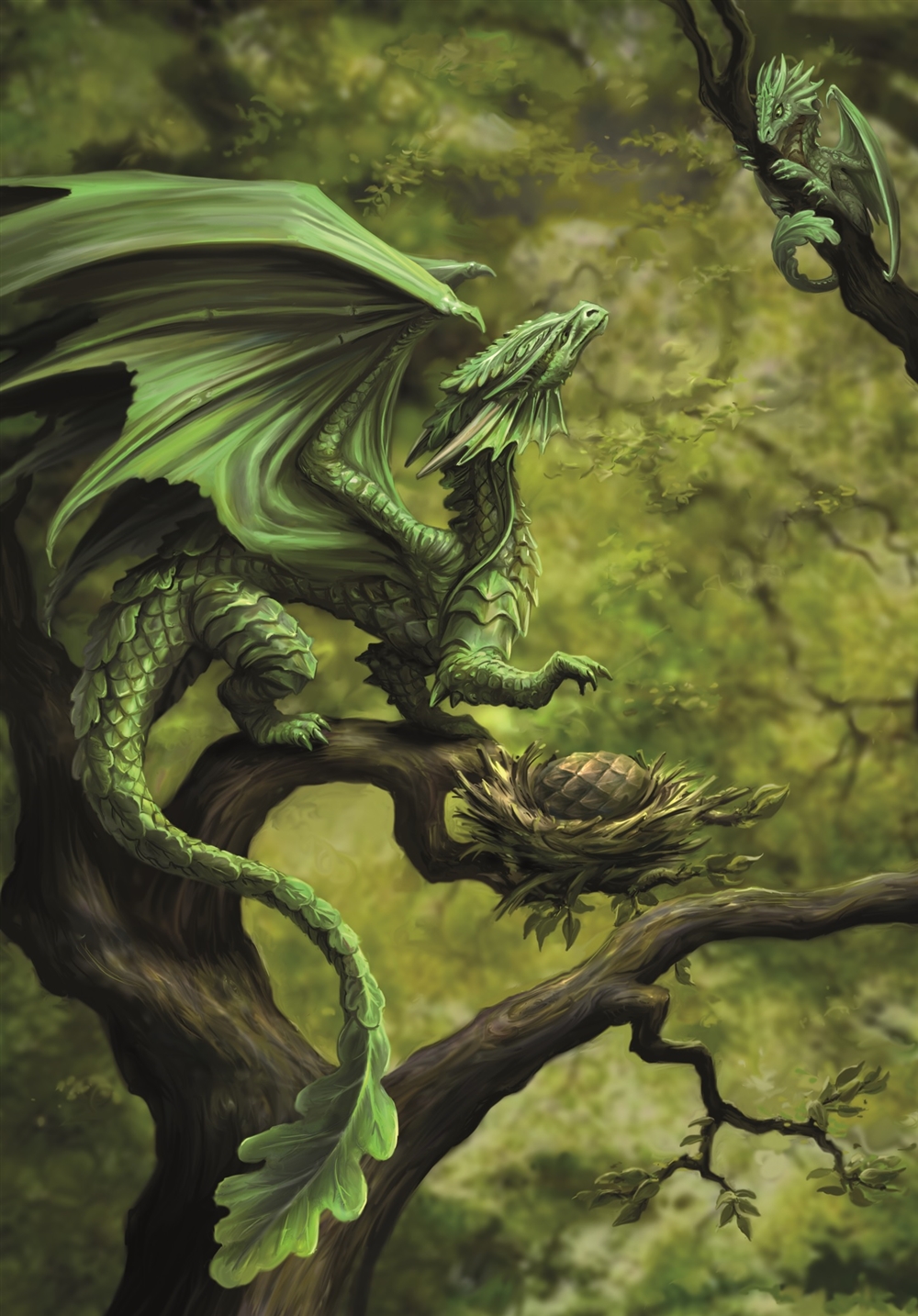 Forest Dragon Cards - 6 Pack