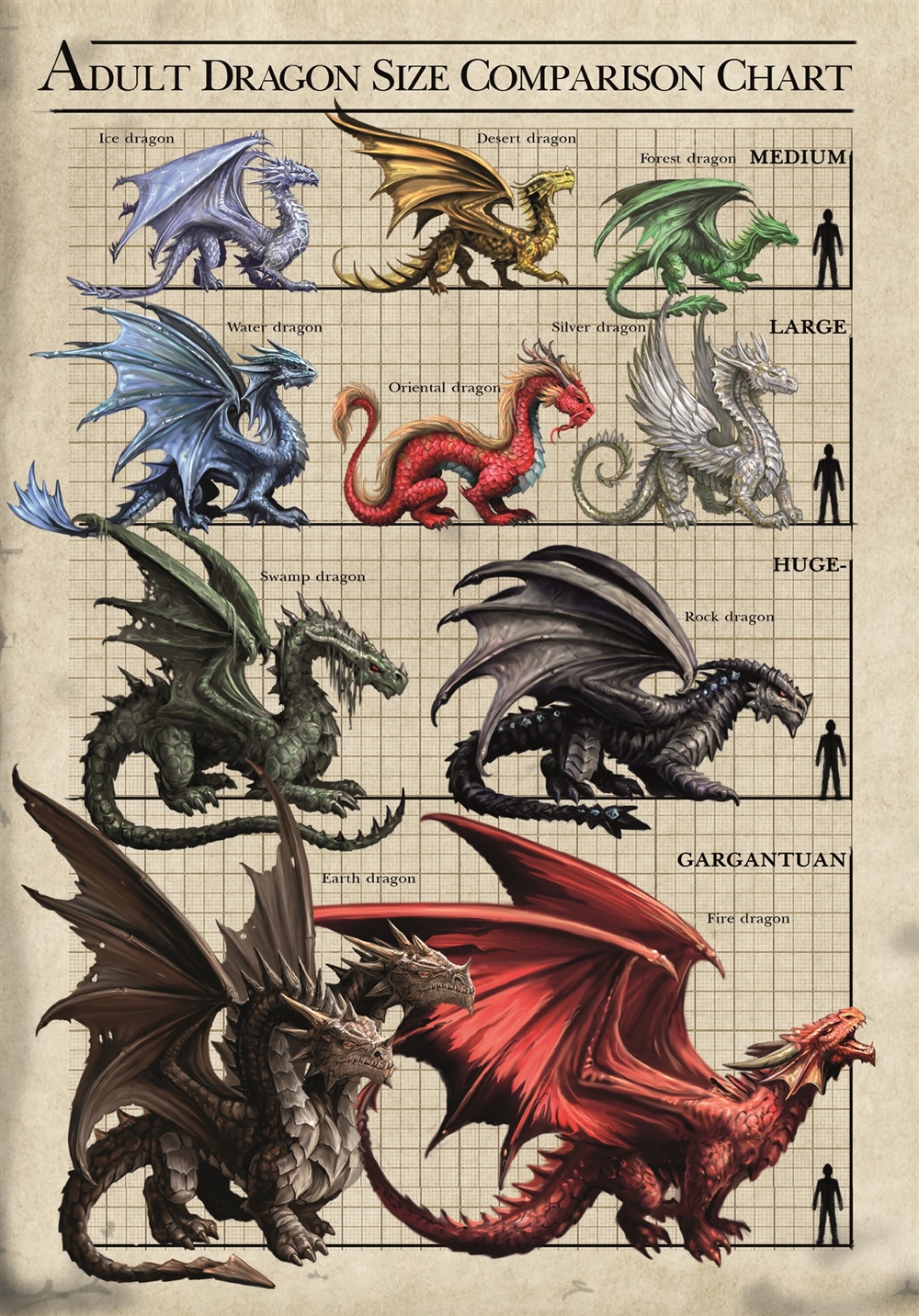 Size Chart DRAGONs Cards - 6 Pack