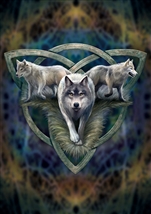 Wolf Trio CARD - 6 Pack