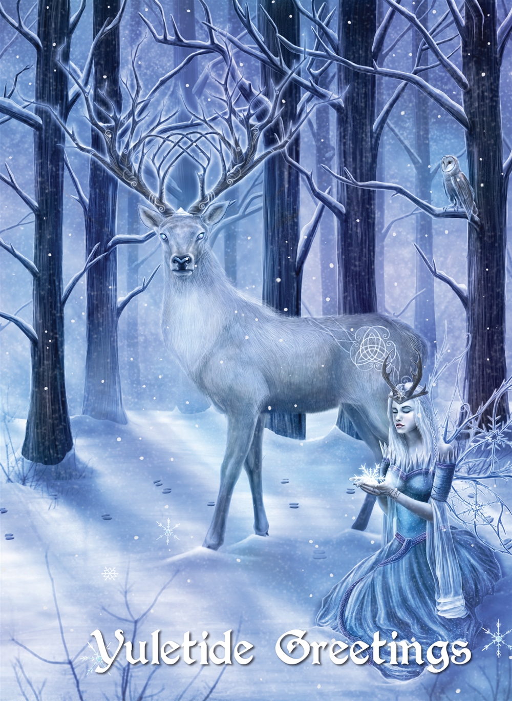 Frozen Fantasy Card - 6 Pack  YULE