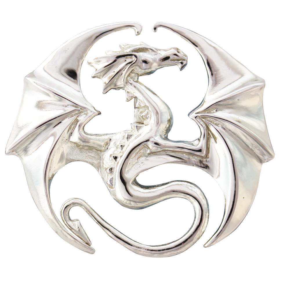 Draco for Stability & Progress by Anne Stokes
