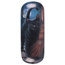 Brush with Magik (Black Cat) Eye Glass Case by Lisa Parker